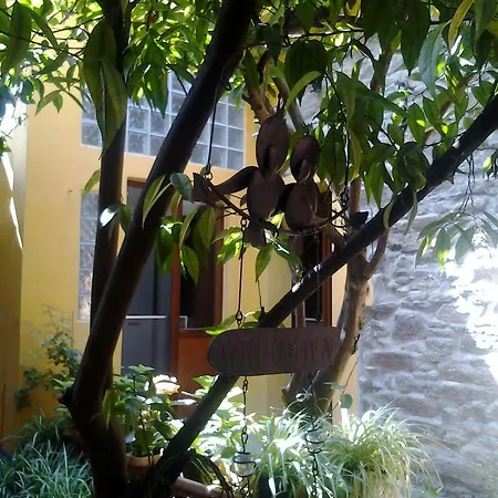 Bed & Breakfast Su Semucu 3*