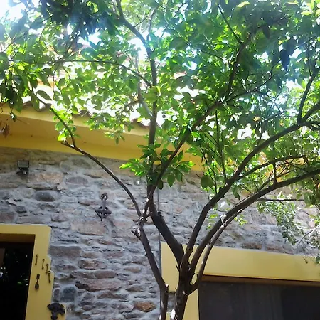 Bed & Breakfast Su Semucu Ballao