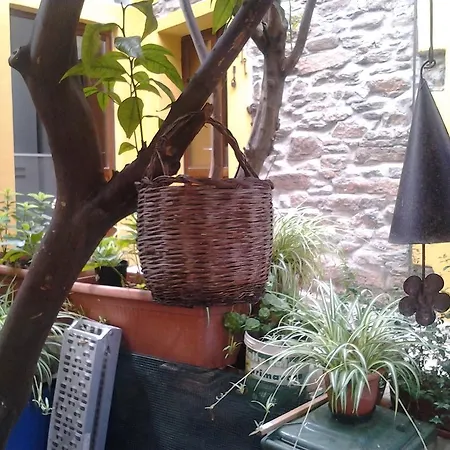 Bed & Breakfast Su Semucu 3*