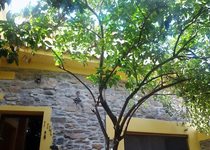 住宿加早餐酒店 Su Semucu Ballao